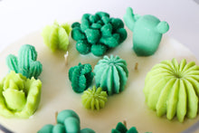 Load image into Gallery viewer, Cactus Garden - Clear
