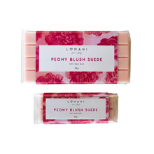 Load image into Gallery viewer, Large Wax Melt Snap Bar